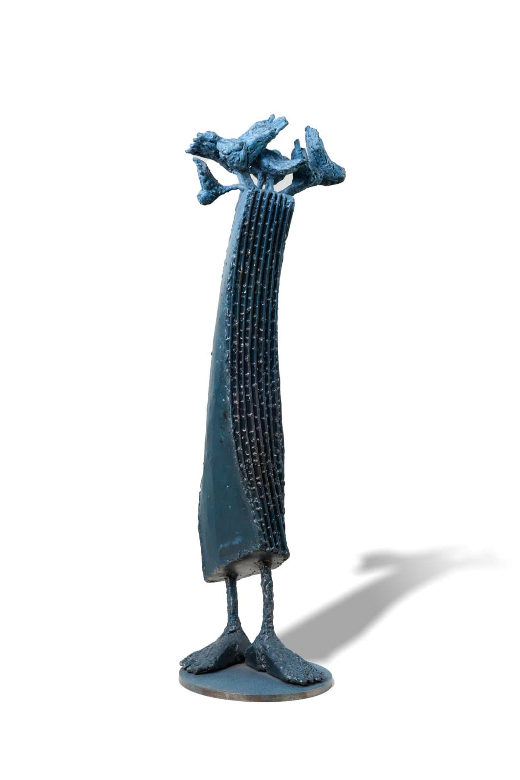 Pelerin (mantie albastră), 2024